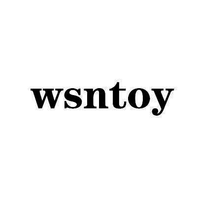 WSNTOY