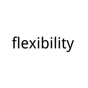 FLEXIBILITY