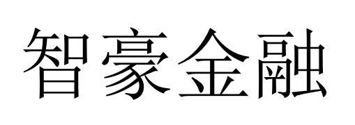 智豪金融