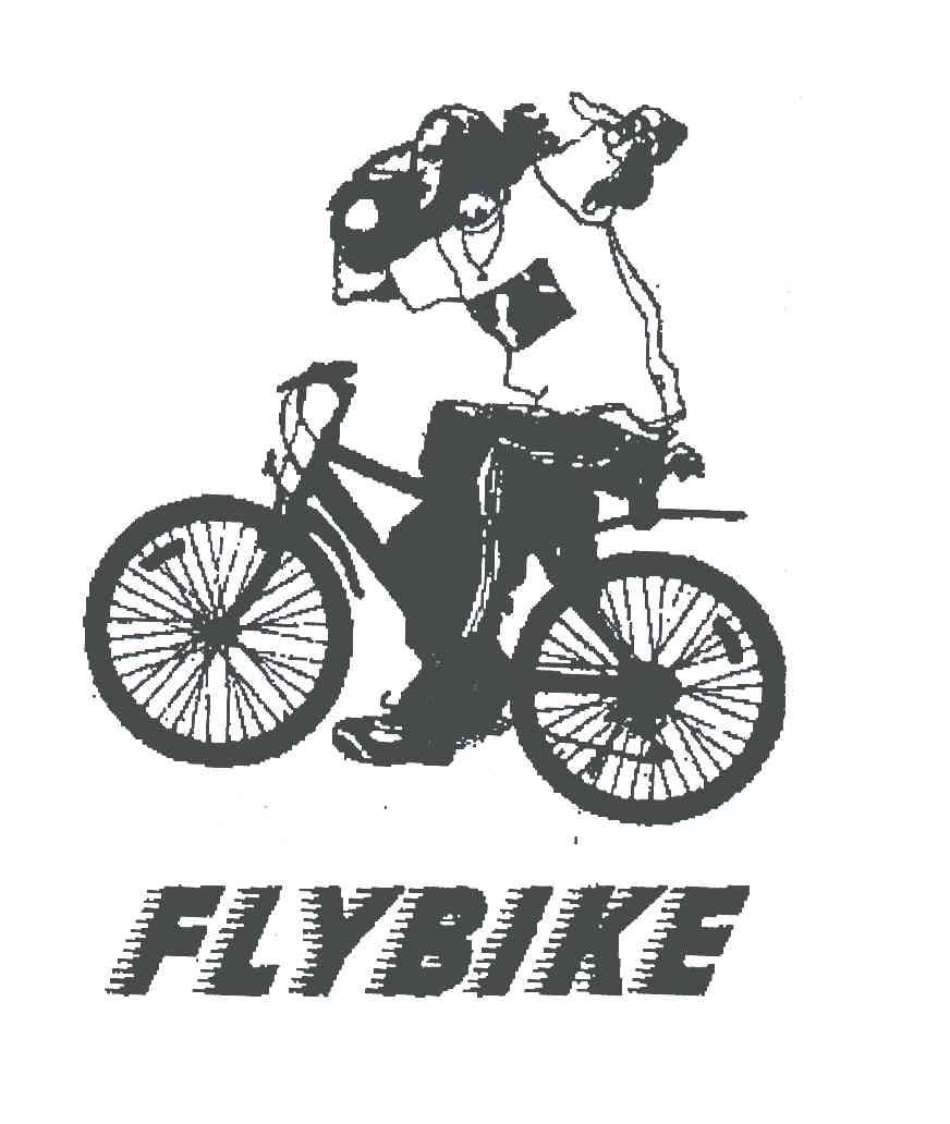 FLYBIKE