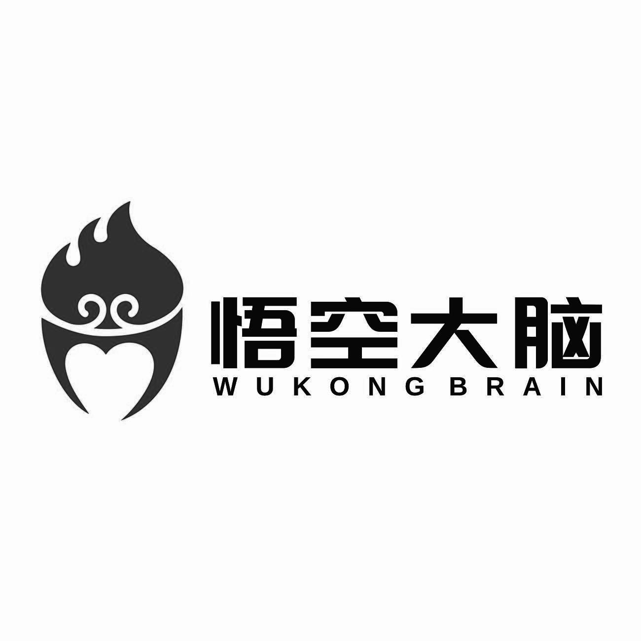 悟空大脑 WUKONGBRAIN