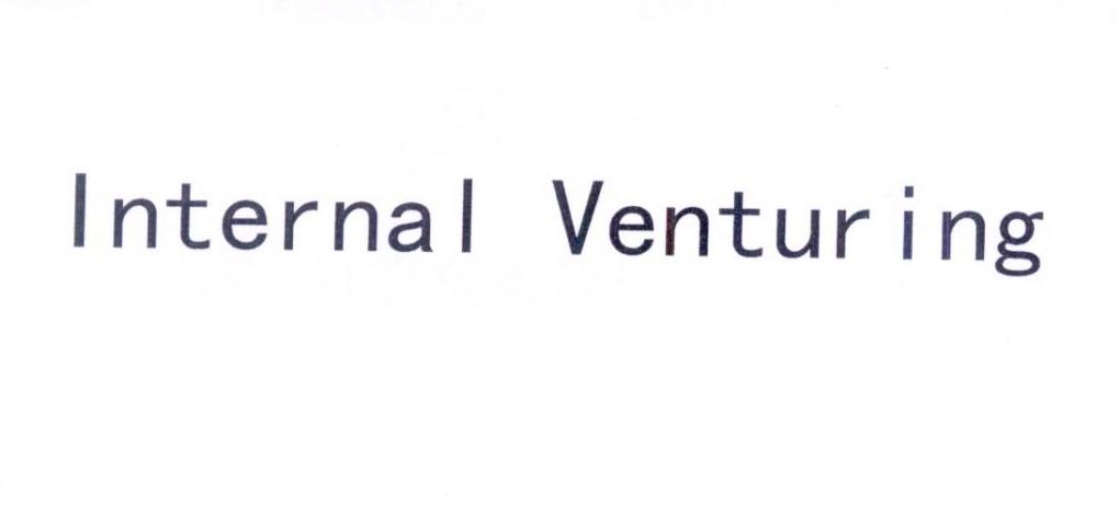 INTERNAL VENTURING