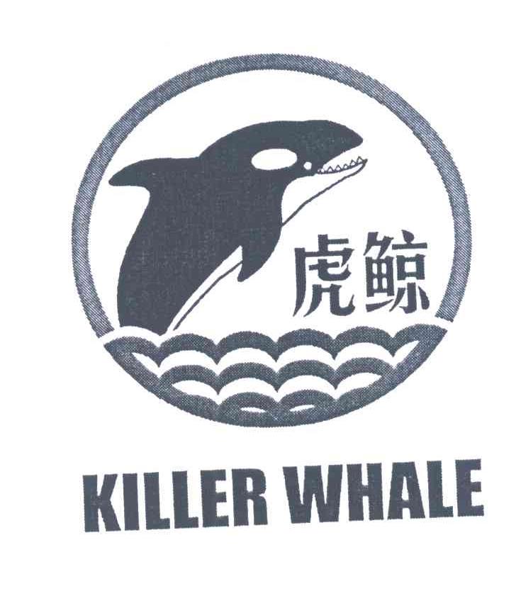 虎鲸;KILLER WHALE