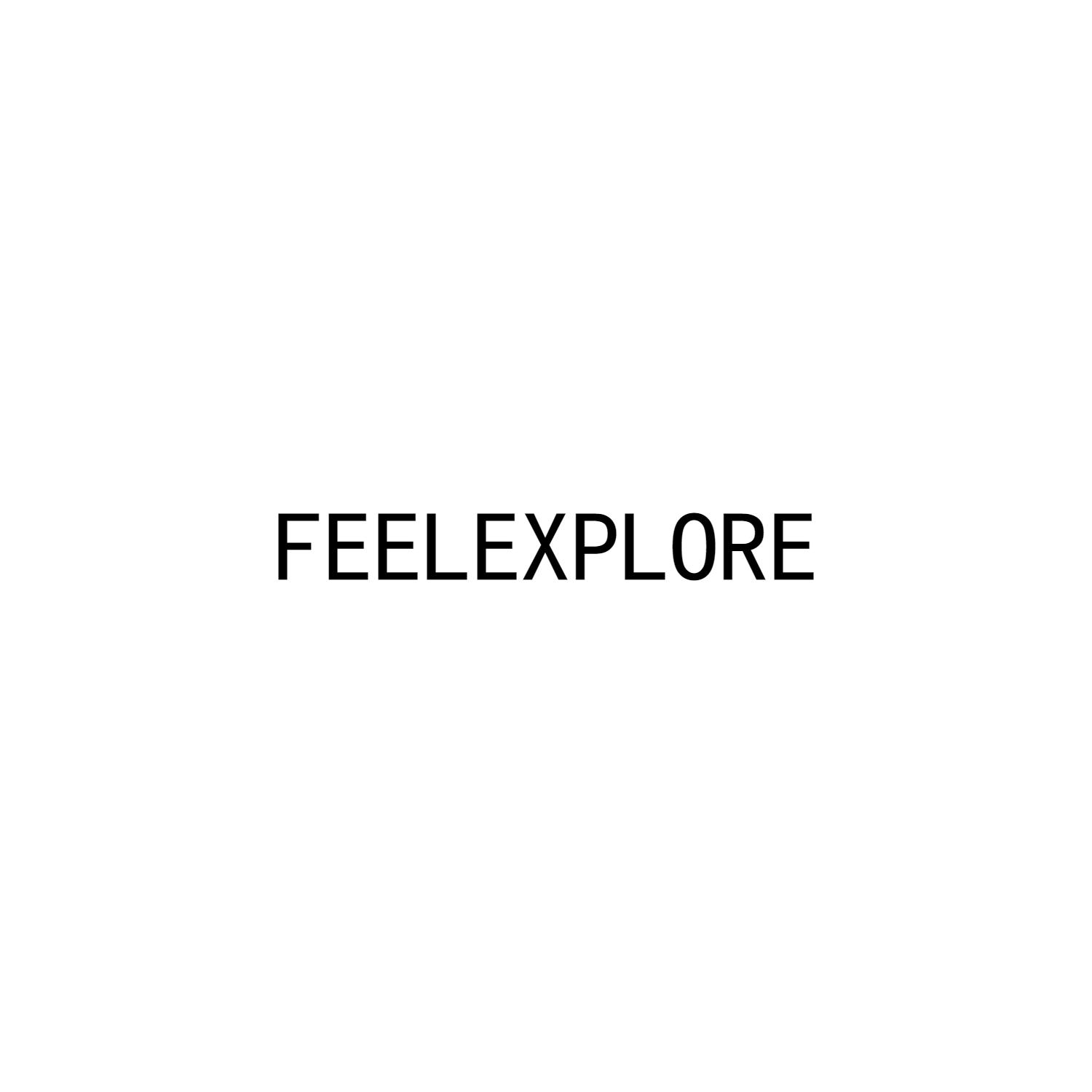 FEELEXPLORE