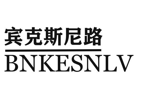 宾克斯尼路 BNKESNLV