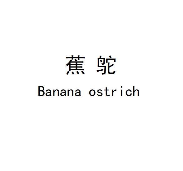 蕉鸵 BANANA OSTRICH