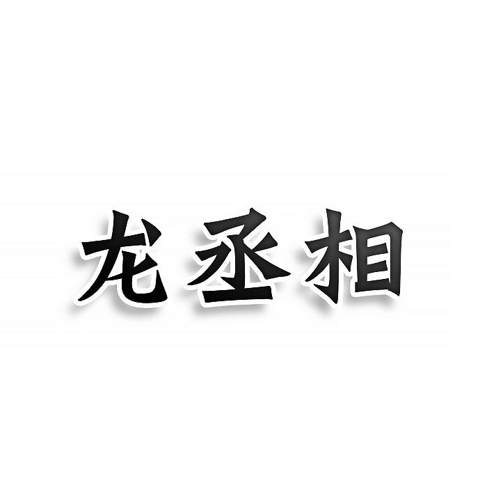 龙丞相