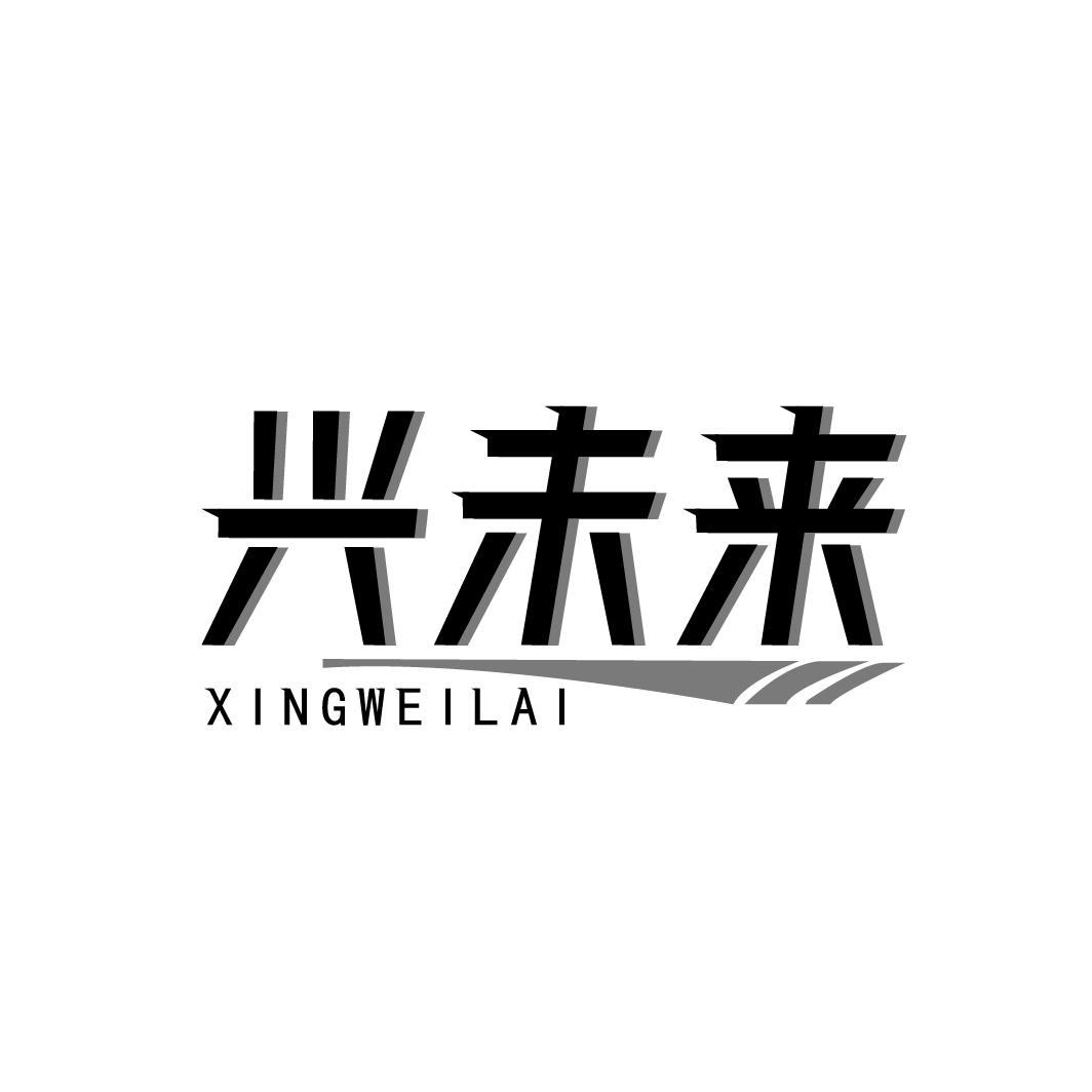 兴未来