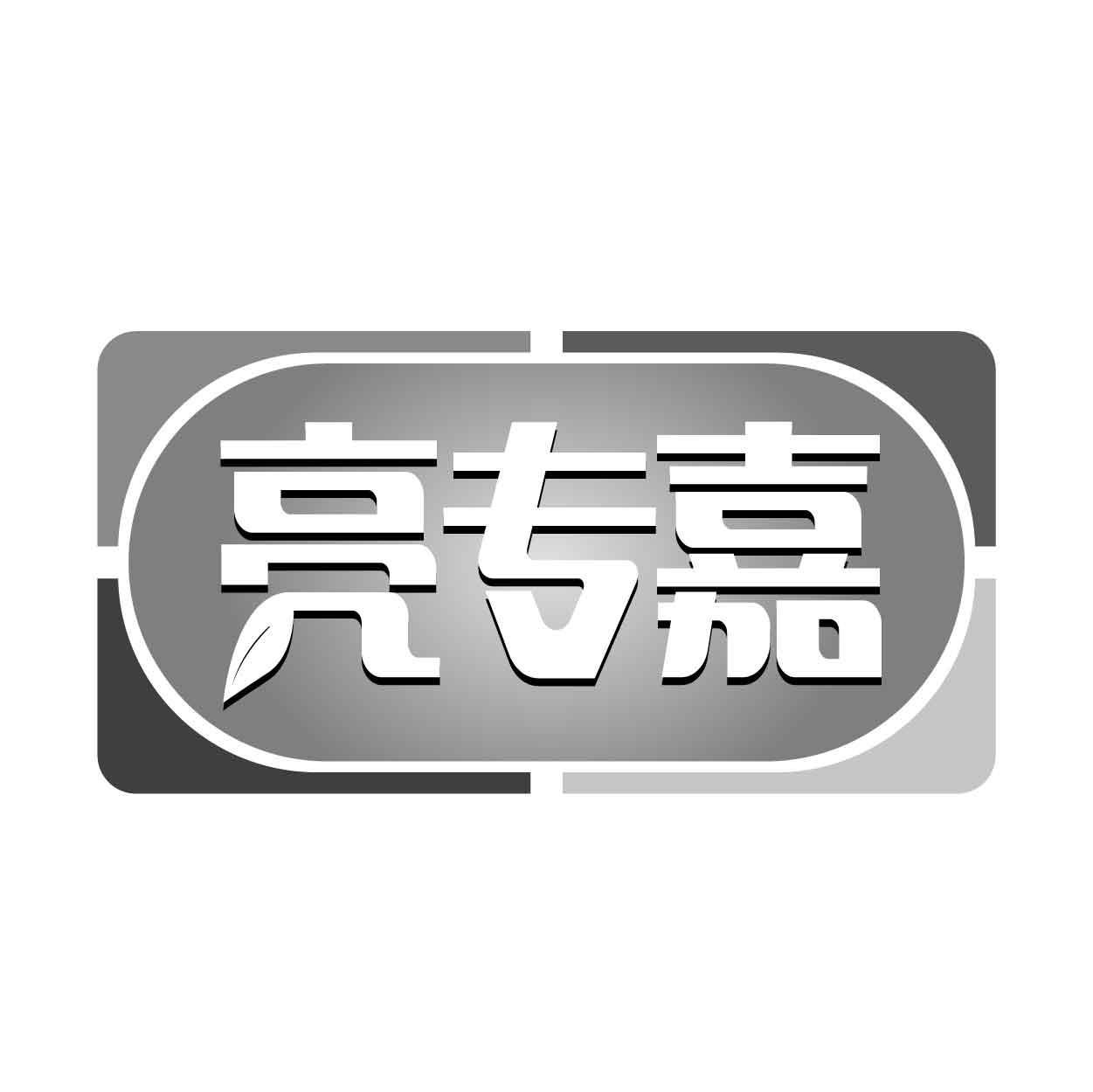 亮专嘉