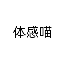 体感喵