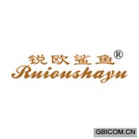 锐欧鲨鱼