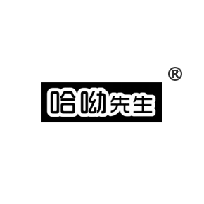 哈呦先生