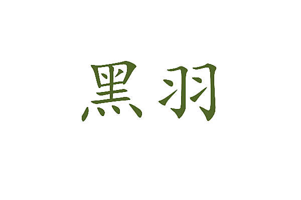 黑羽