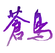 苍鸟