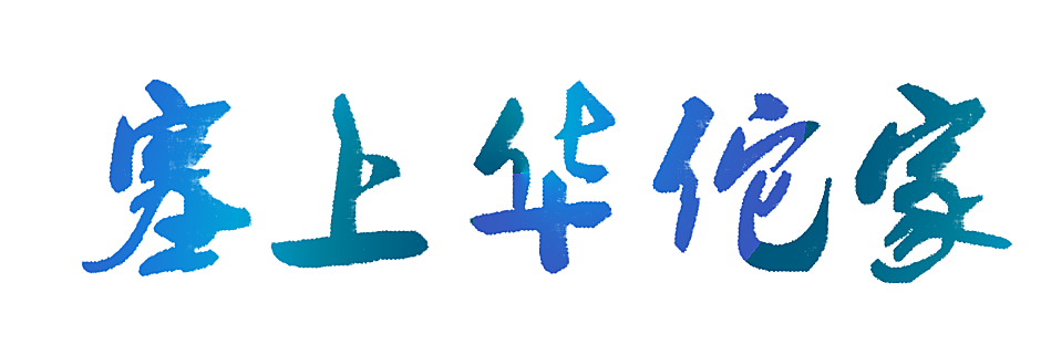 塞上华佗家
