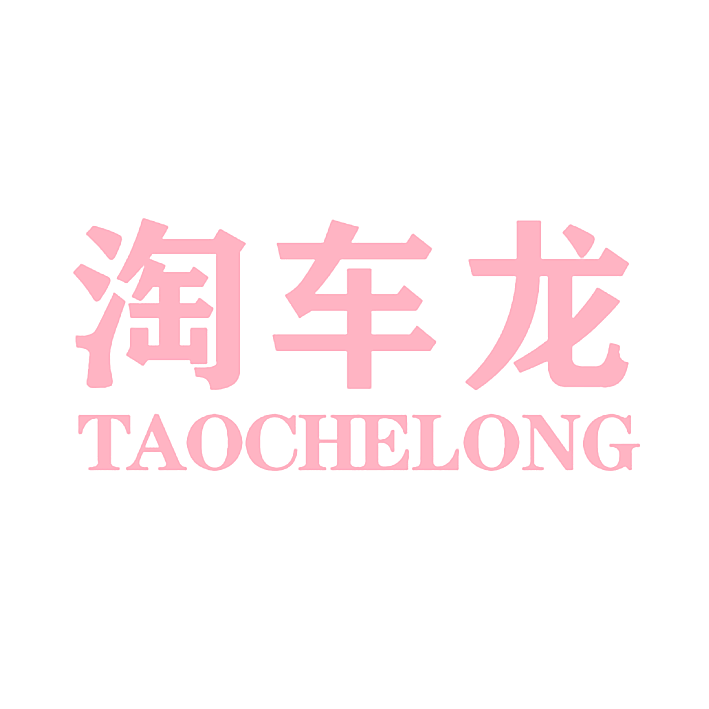 淘车龙