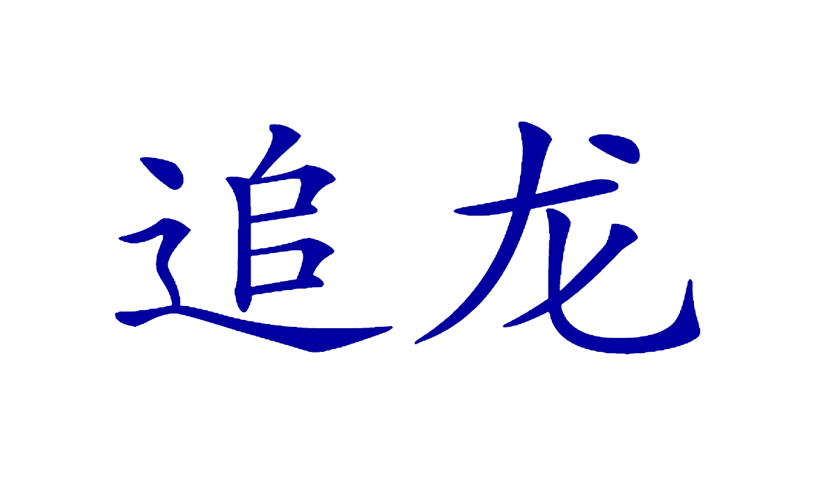 追龙