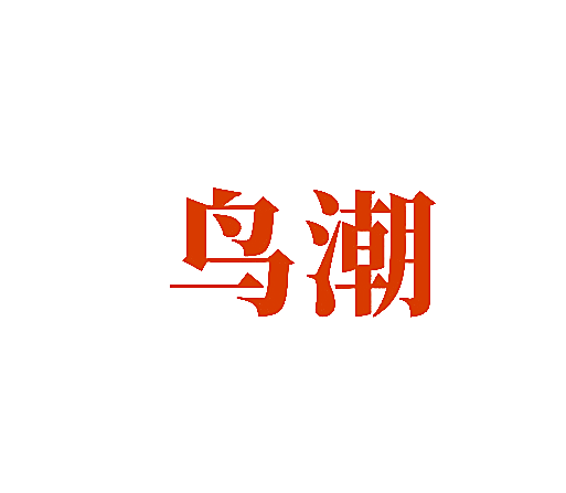 鸟潮