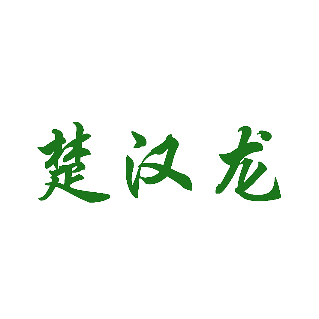 楚汉龙