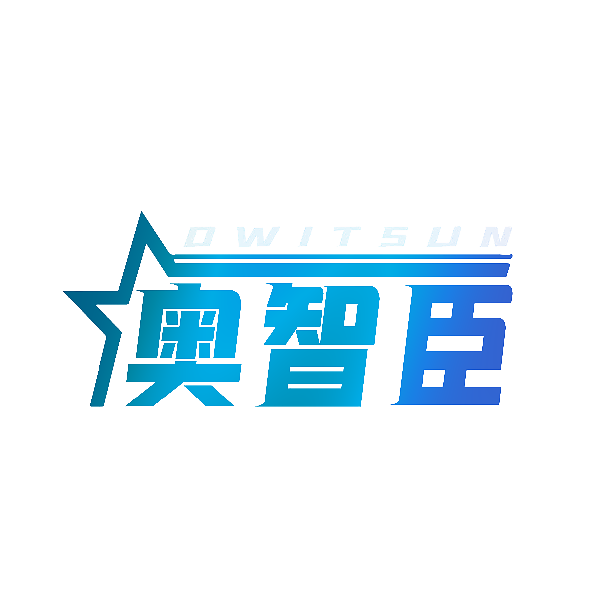 OWITSUN 奥智臣