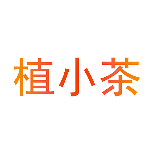 植小茶
