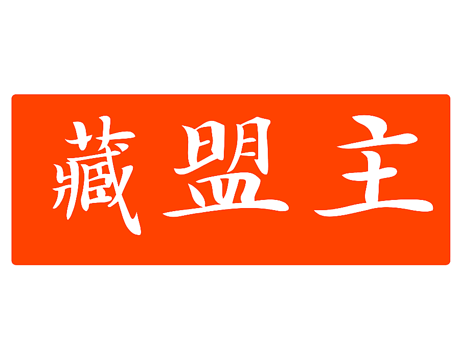 藏盟主