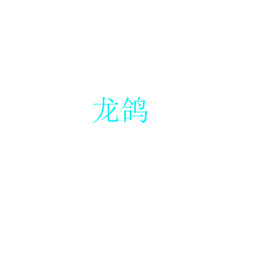 龙鸽