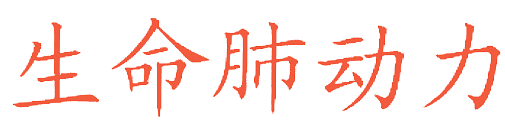 生命肺动力