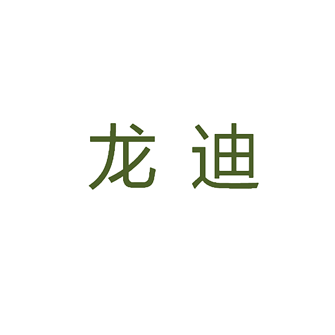 龙迪