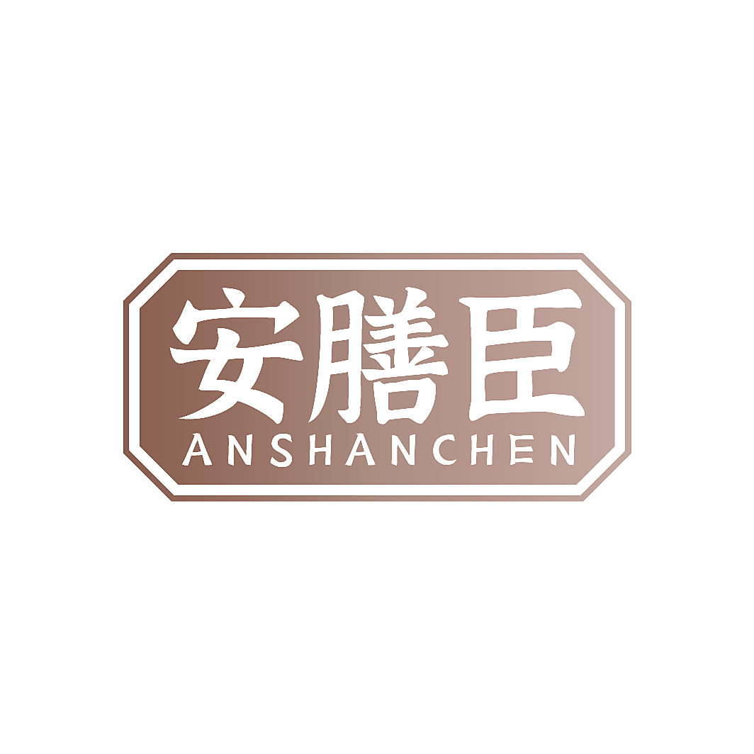 安膳臣