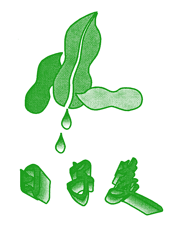 日子美