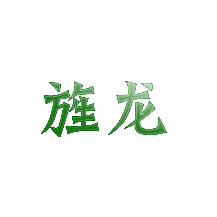 旌龙