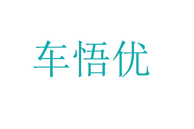 车悟优